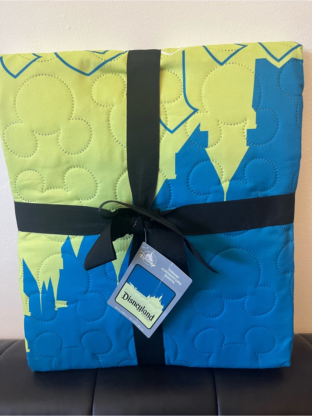 NWT Disneyland quilted throw blanket